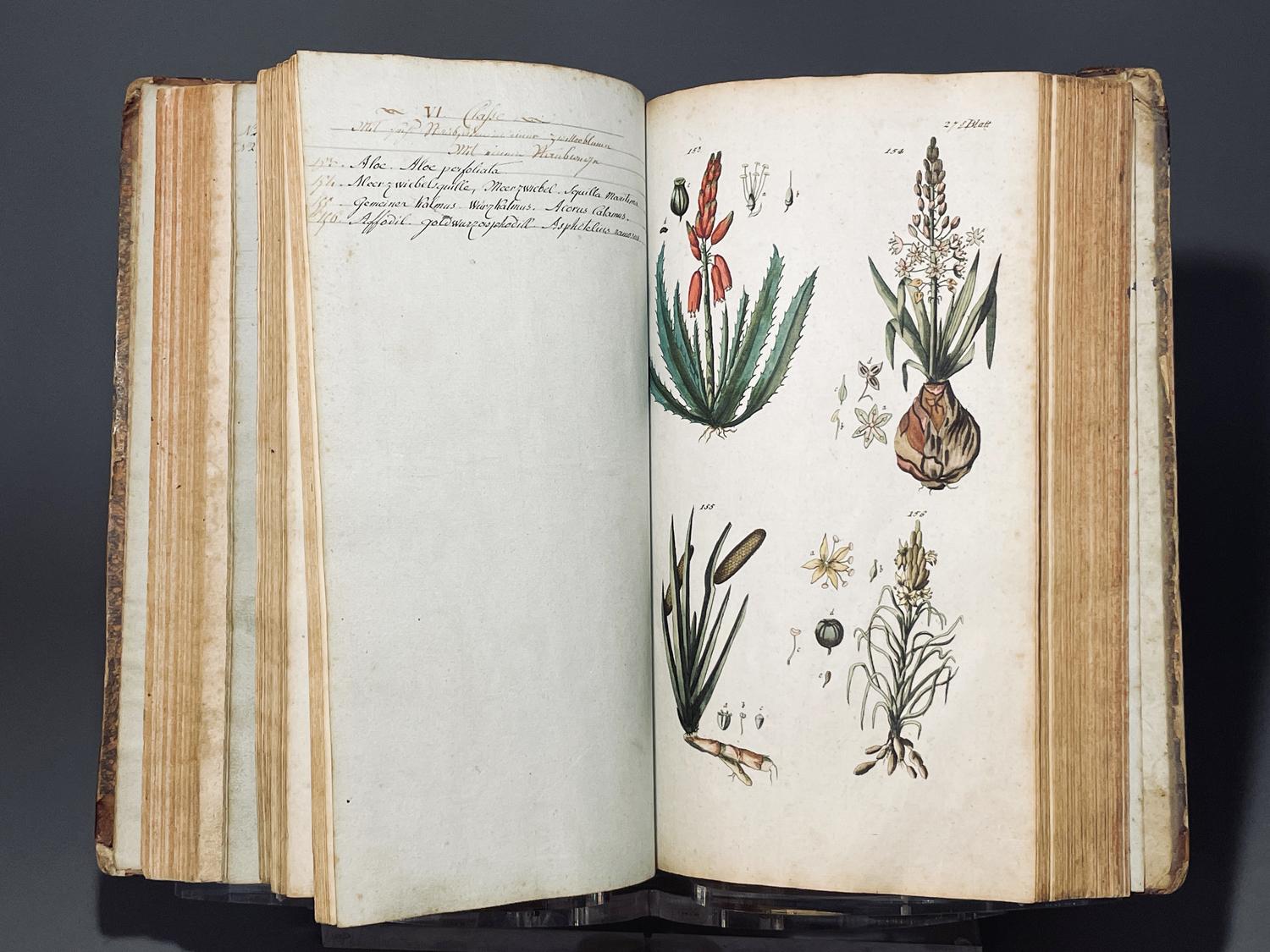 Handbuch der pharmaceutischen botanik.